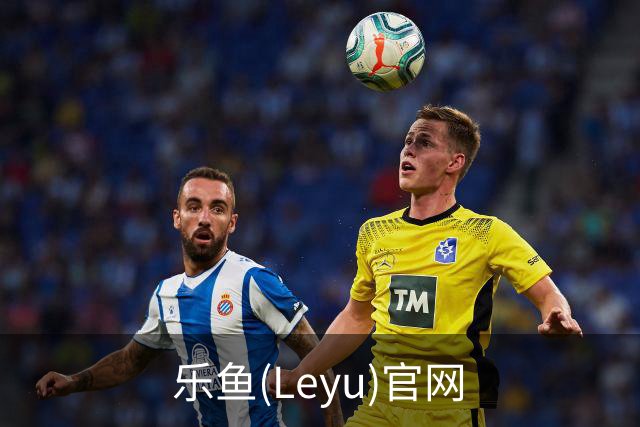 乐鱼(Leyu)官网公司简介